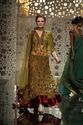 Pakistan Designer Collection Dark Olive Maroon Cla