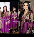Bollywood Preity Zinta Style Purple Panel Banarasi