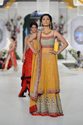 Pakistan Designer Light Amber Sharara Deep Red & S