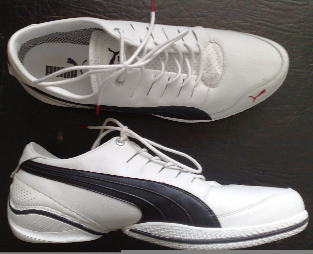 why_r_all_the_good_names_taken : PUMA BMW Sauber F1 Team SNEAKERS US11 ...