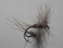 To add this item in your Shopping Cart drag and drop this picture there