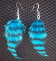 To add this item in your Shopping Cart drag and drop this picture there