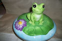 BEAUTIFUL GREEN FROGS LGE.CANISTER JAR HANDPAINTED