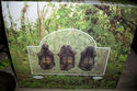 3 PC. SET TURTLES HEAR NO SEE NO SPEAK NO EVIL~MUS