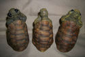 3 PC. SET TURTLES HEAR NO SEE NO SPEAK NO EVIL~MUS