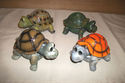 MUST SEE TURTLES LIFE SIZE HANDPAINTED CHOOSE FROM