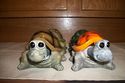 MUST SEE TURTLES LIFE SIZE HANDPAINTED CHOOSE FROM