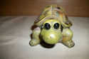 MUST SEE TURTLES LIFE SIZE HANDPAINTED CHOOSE FROM