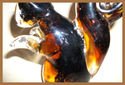 HAND BLOWN GLASS PAPER WEIGHT LARGE 6X51/2" BROWN 