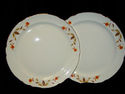 Hall Jewel T Dinner Plate 