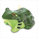 FRIENDLY FROG CANDLE 38558