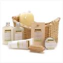 LEMONGRASS EUCALYPTUS SPA BASKET 14432