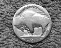 Buffalo (Indian Head) Nickel - No Date