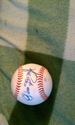 PEDRO SIERRA DETROIT STARS Autographed Baseball