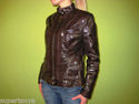 To add this item in your Shopping Cart drag and drop this picture there