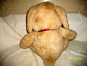 HUGE 21" Tall Teddy Bear Plush Creations Cuddly Br