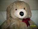 HUGE 21" Tall Teddy Bear Plush Creations Cuddly Br