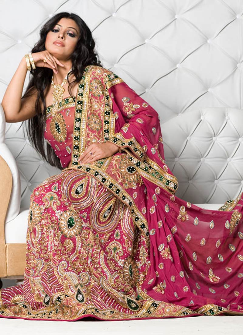 Lehenga Choli Saree Designs Blouse Designs 2014 Style Saree Choli ...