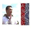 To add this item in your Shopping Cart drag and drop this picture there