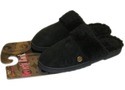 To add this item in your Shopping Cart drag and drop this picture there