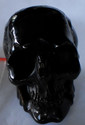 To add this item in your Shopping Cart drag and drop this picture there
