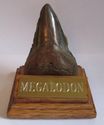 MEGALODON SHARK TOOTH STAND GOLD ENGRAVED PLAQUE 4