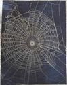 SPIDER ART REAL GENUINE SPIDER WEB PRESERVED IN GO