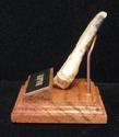 RAPTOR CLAW REPLICA WITH SOLID OAK & GOLD ENGRAVE 