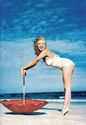To add this item in your Shopping Cart drag and drop this picture there