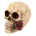 To add this item in your Shopping Cart drag and drop this picture there