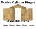 Mortise Cylinder Hinges