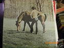 Arlo Guthrie Washington County