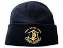 To add this item in your Shopping Cart drag and drop this picture there