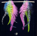 To add this item in your Shopping Cart drag and drop this picture there