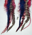To add this item in your Shopping Cart drag and drop this picture there
