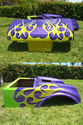 CLUB CAR DS GOLF CART CUSTOM FLAMES PAINT FRONT+ R