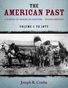 The American Past: A Survey of American History, V