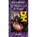 Private Life of Plants VHS FULL SET 1995 NOT DVD  