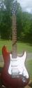 Tradition G12 Stratocaster Guitar