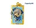 To add this item in your Shopping Cart drag and drop this picture there