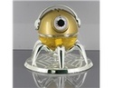 To add this item in your Shopping Cart drag and drop this picture there