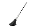 To add this item in your Shopping Cart drag and drop this picture there