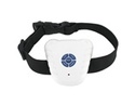 To add this item in your Shopping Cart drag and drop this picture there