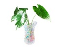 To add this item in your Shopping Cart drag and drop this picture there