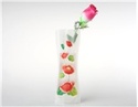 To add this item in your Shopping Cart drag and drop this picture there