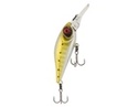 To add this item in your Shopping Cart drag and drop this picture there