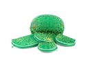 To add this item in your Shopping Cart drag and drop this picture there