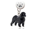 To add this item in your Shopping Cart drag and drop this picture there