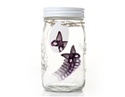 To add this item in your Shopping Cart drag and drop this picture there