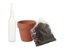 To add this item in your Shopping Cart drag and drop this picture there